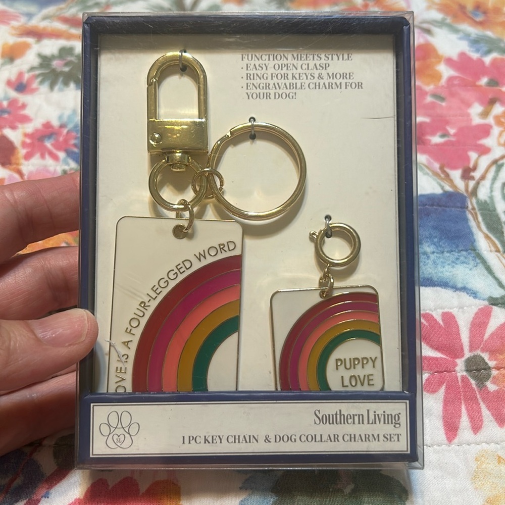 Southern Living Rainbow 1pc Key Chain and Dog Collar Charm Set
